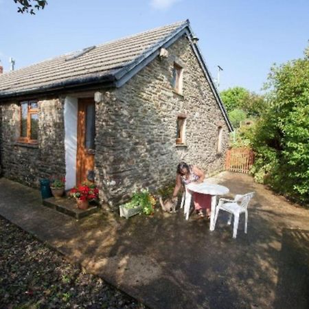 Inviting 2-Bed Cottage In Newcastle Emlyn Ngoại thất bức ảnh